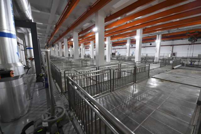 綠茵之下，匠心筑夢 一座公園的園林實業密碼